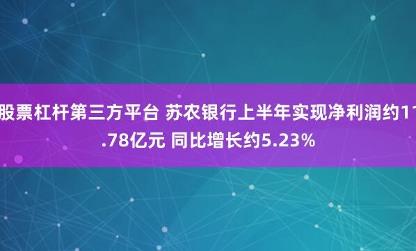 股票杠杆第三方平台 苏农银行上半年实现净利润约11.78亿元 同比增长约5.23%