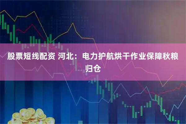 股票短线配资 河北：电力护航烘干作业保障秋粮归仓