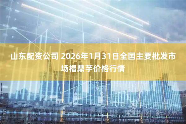山东配资公司 2026年1月31日全国主要批发市场福鼎芋价格行情