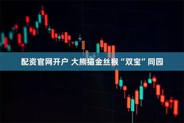 配资官网开户 大熊猫金丝猴“双宝”同园